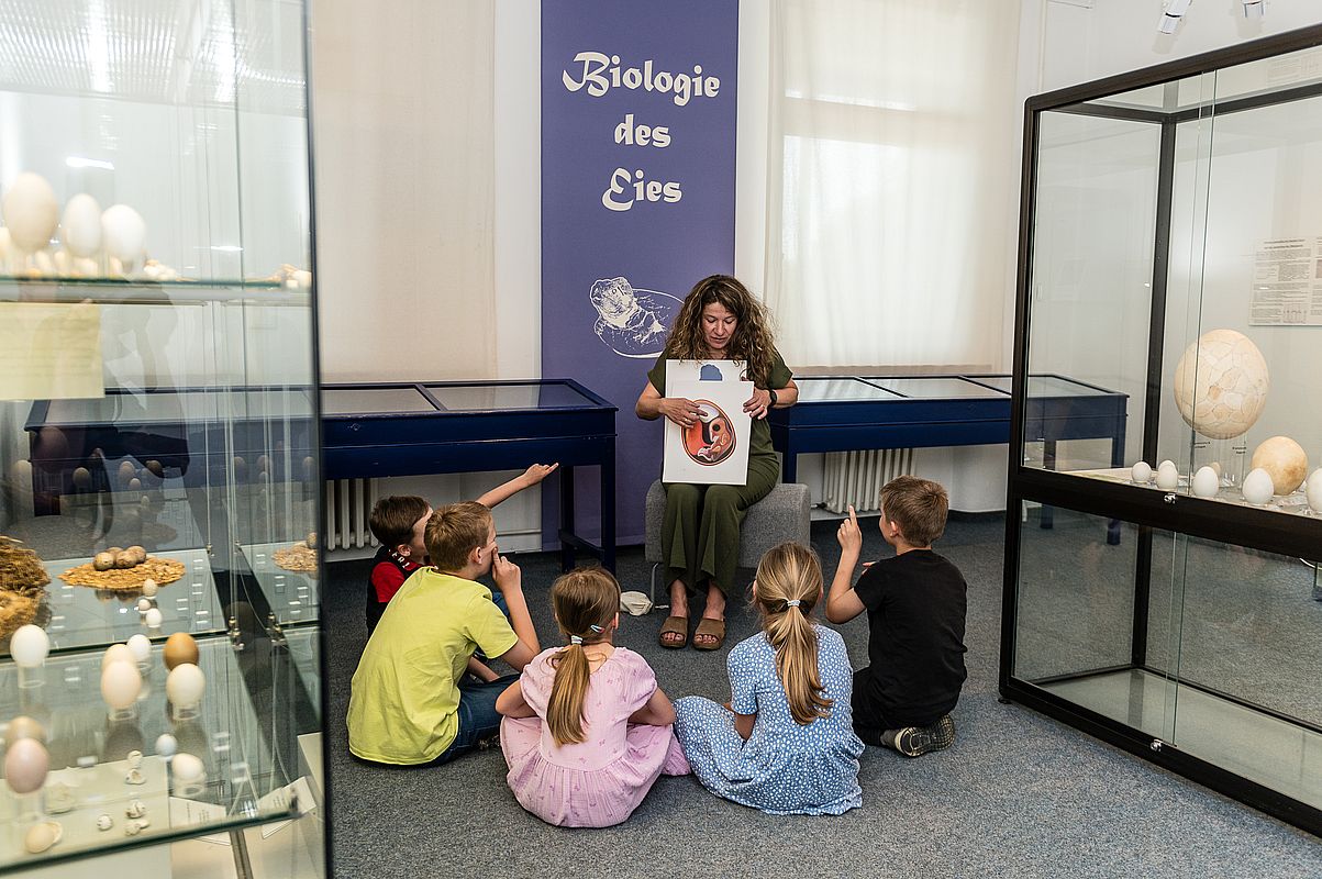 164 Kinderfuehrung Stadtmuseum Schwabach