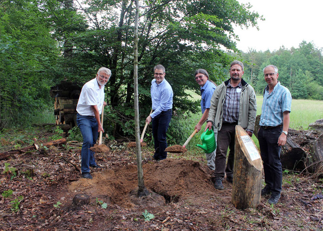 Beim Pflanzen: Von links Bürgermeister Dr. Roland Oeser, Dr. Thomas Hiller, technischer Leiter der Stadtwerke, Andreas Barthel vom Landschaftspflegeverband, Stadtförster Thomas Knotz und Thomas Mulzer von der Stadtgärtnerei