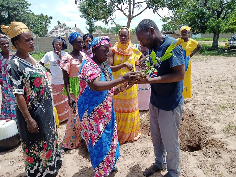 frauenprojekt dadagne bearbeitet