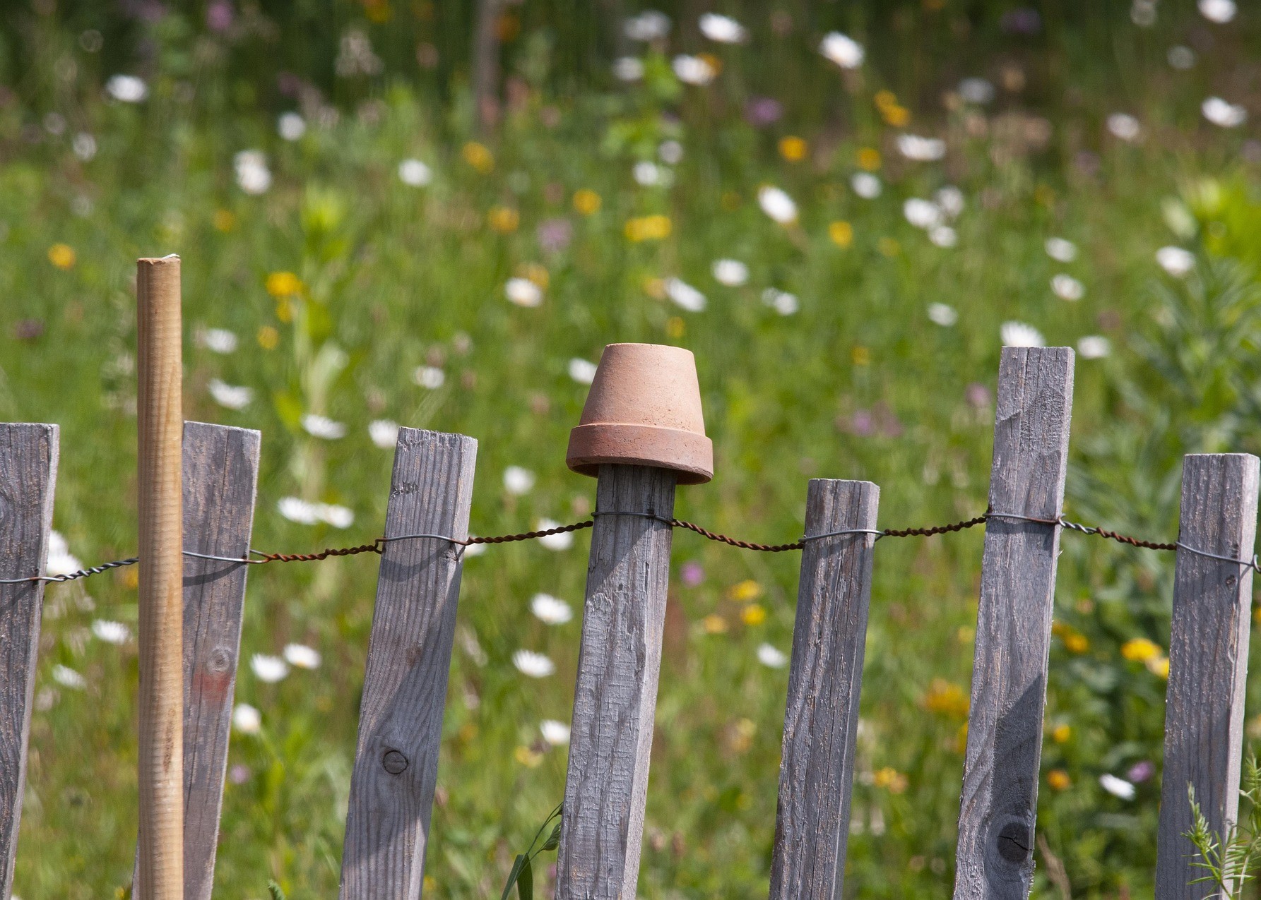 Buchausstellung_c_Pixabay_David_Seifert