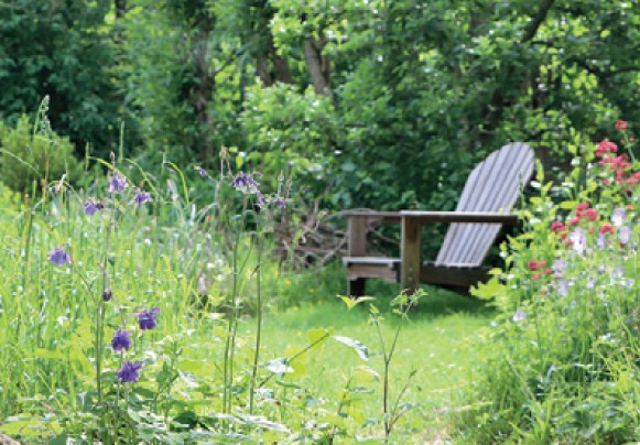 Rollup-Aussttelung Naturgarten_c_Christine Kuchem
