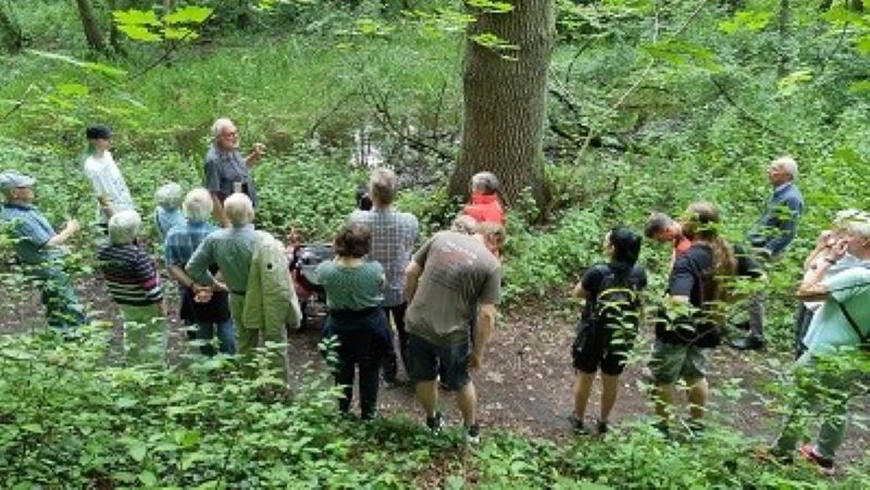 Wässerwiesen_c_Klaus Gabriel