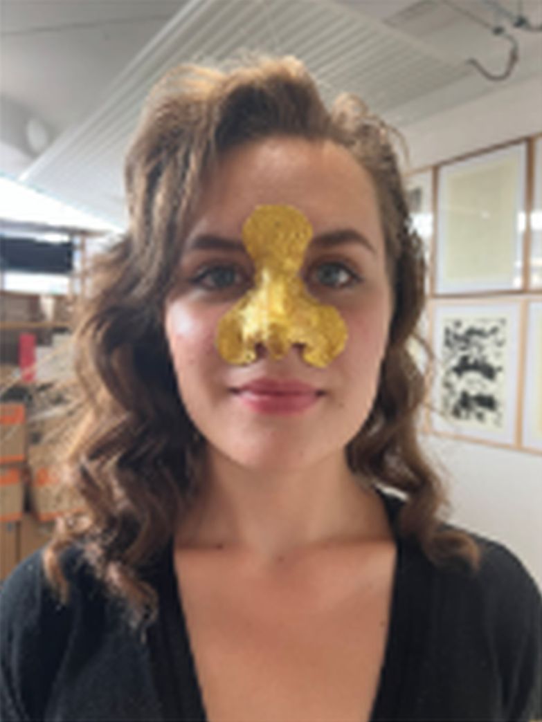 Goldene Nasen Projekt