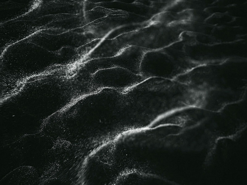 Joachim Lindner: flores maris - blumen des meeres 