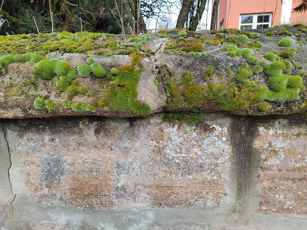 Sandsteinmauer in Schwabach