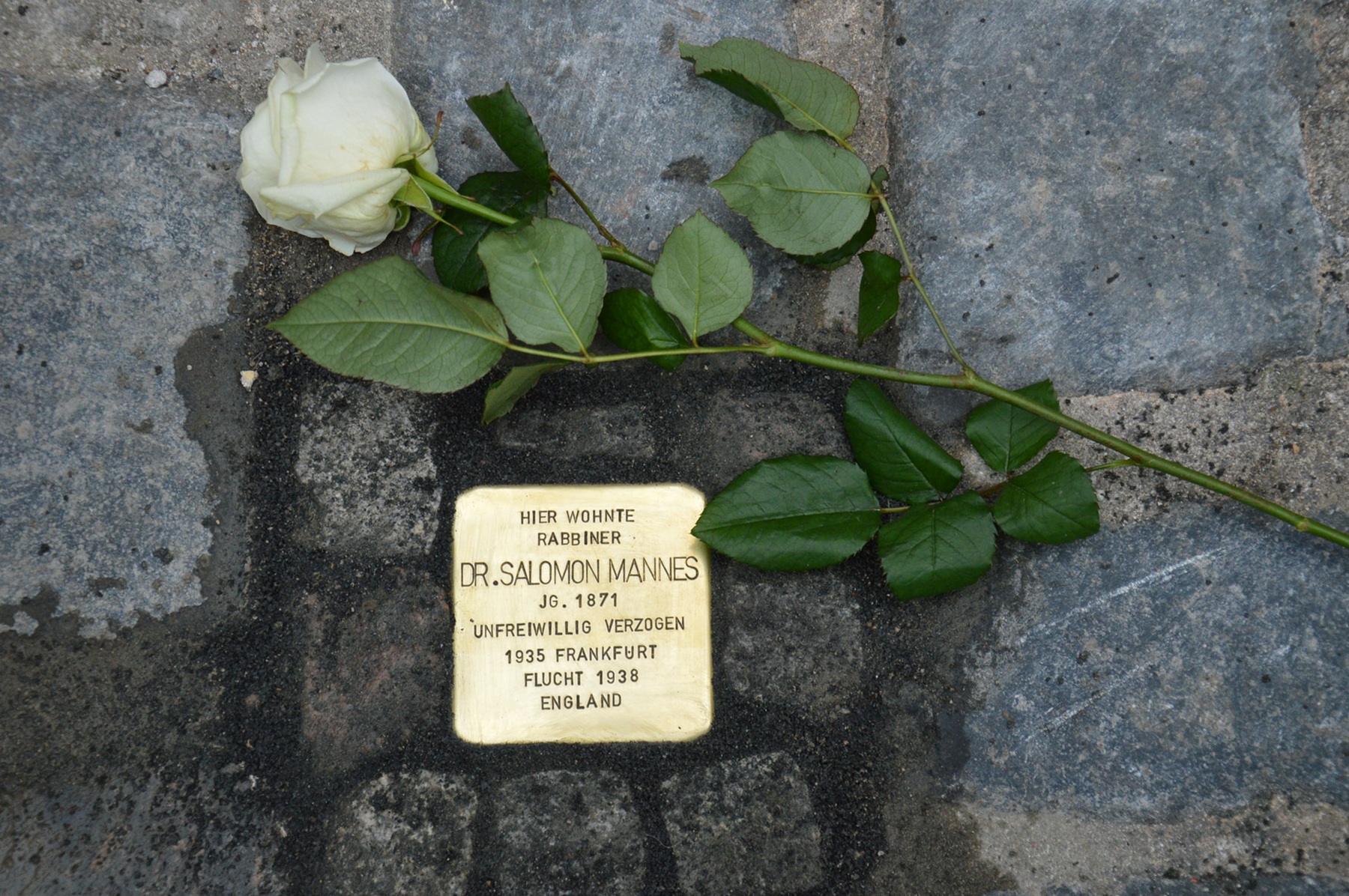 Stolperstein für Dr. Salomon Mannes