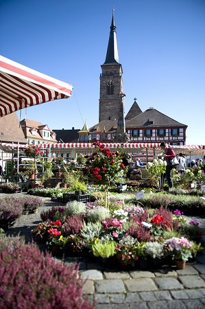 Foto Marktplatz mit Rathaus