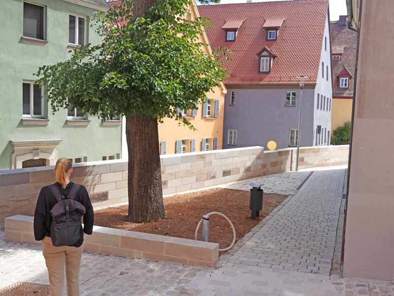 Der große Baum nördlich der Kirche konnte erhalten bleiben. Boxlohe Baum