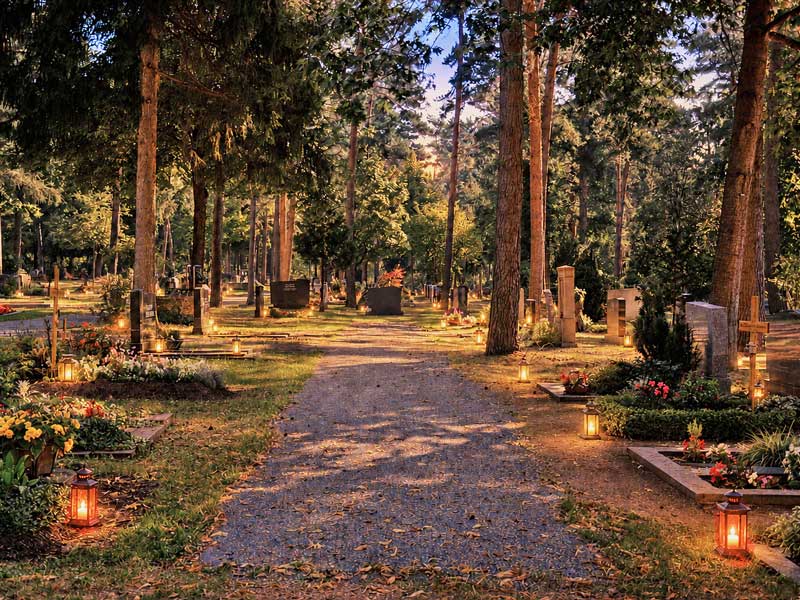 Ein Weg auf einem Friedhof in Abendlicht. Am Wegrand stehen beleuchtete Grablichter. Im Hintergrund sieht man viele hohe Bäume und ein Stück vom Himmel.