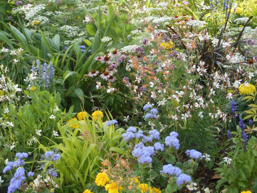 Bunte Blütenvielfalt