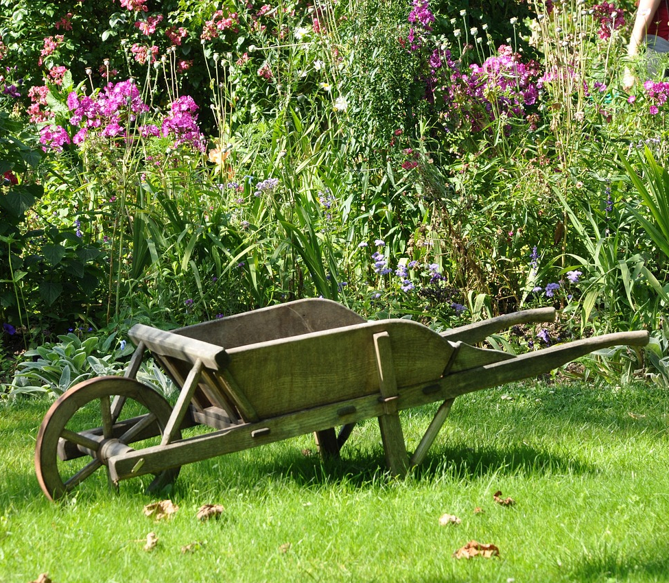 Schubkarre im Garten