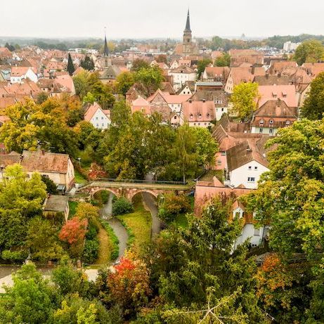 Bach im Grünen