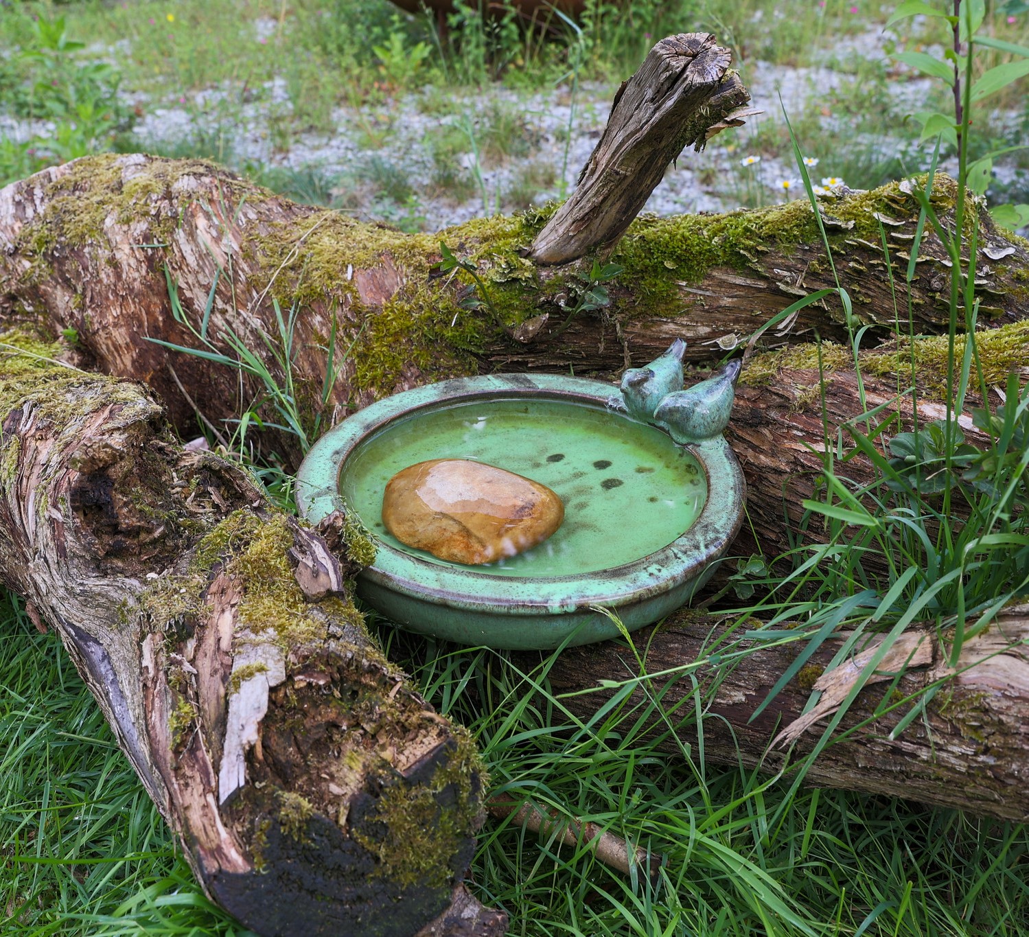 Totholz und Vogeltränke
