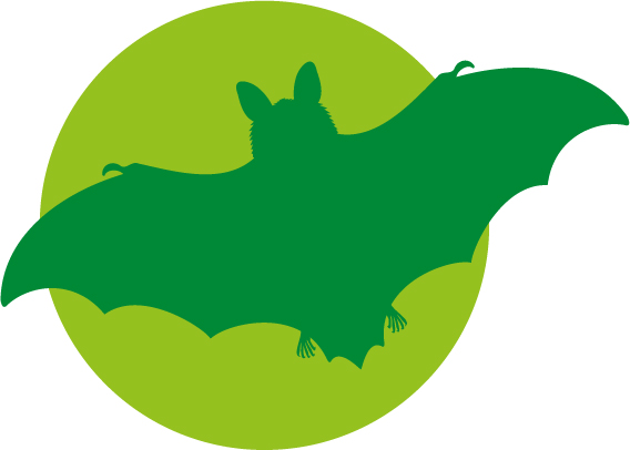 Fledermaus
