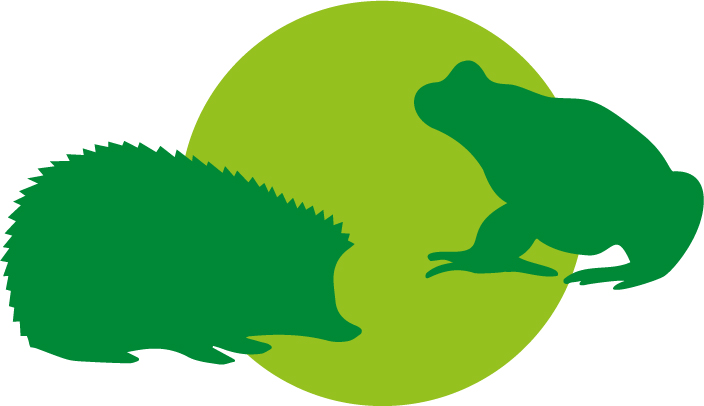 Igel und Kröte