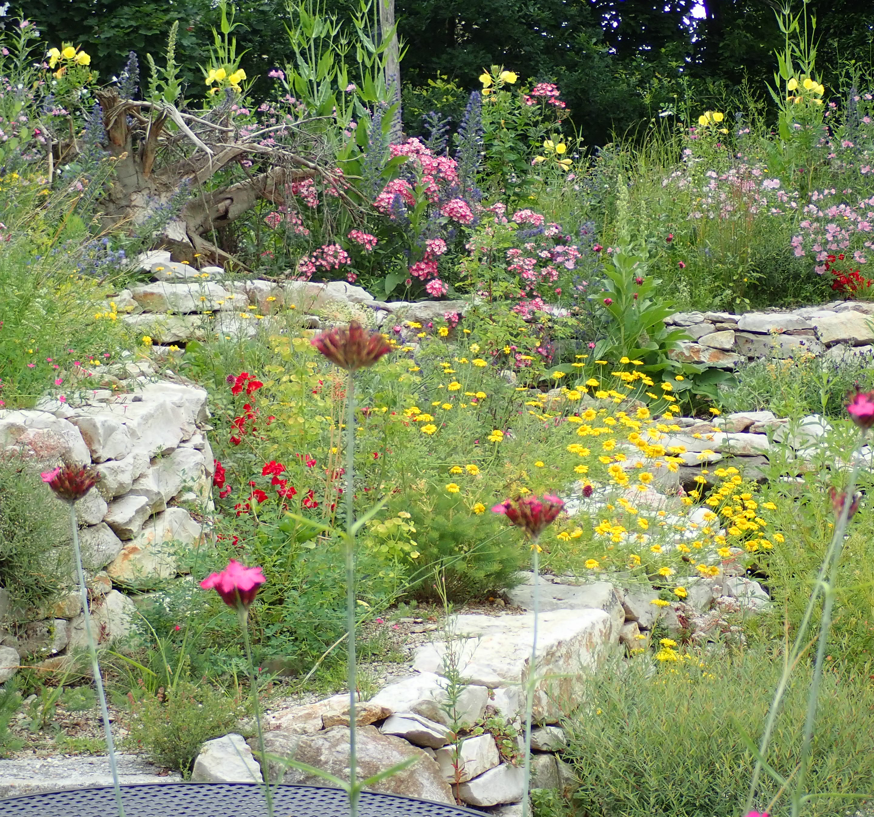 Naturnaher Garten